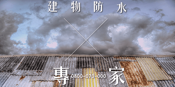 嘉義外牆防水板 :::防水十年保固0800-070-000